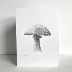 Tarjeta de felicitación de hongo / Dibujo botánico / Boceto a lápiz hecho a mano / Interior en blanco / Artista del Reino Unido