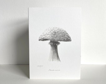 Toadstool Greeting Card | Botanical Drawing | Hand-Drawn Pencil Sketch | Blank Inside | UK Artist