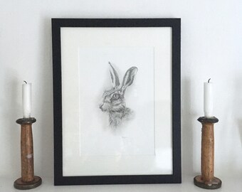 Brown Hare Mounted Print | Hand-Drawn Pencil Sketch | UK Artist | Framed or Unframed