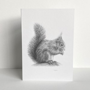 Cartão de felicitações do esquilo vermelho | Desenho a lápis feito à mão | Interior em branco | Artista do Reino Unido