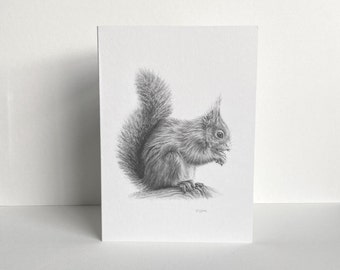 Red Squirrel Greeting Card | Hand-Drawn Pencil Sketch | Blank Inside | UK Artist