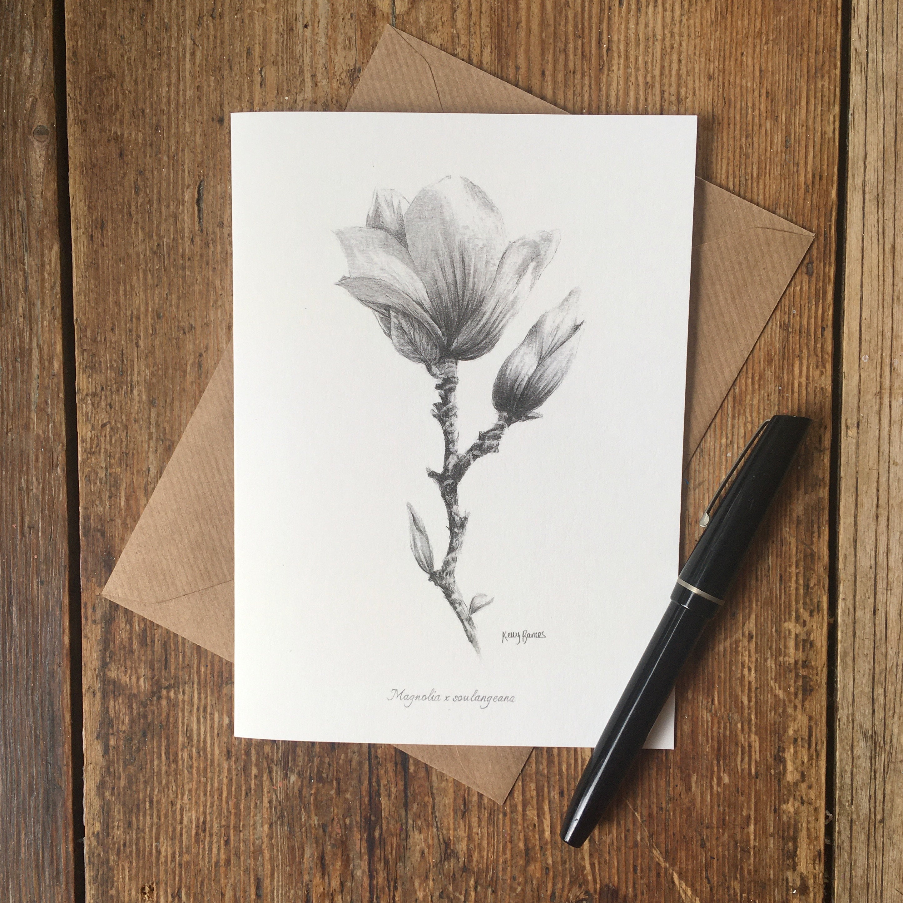 Magnolia Blank Greeting Cards / Magnolia Just Because Cards / Art
