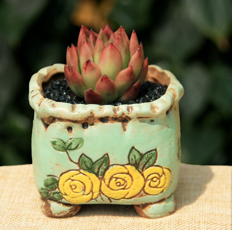 Small Plant PotsCeramic Plant PotsSucculent PotCeramic Planter PotSucculent PlanterPlant PotsPottery PotClay PotP34