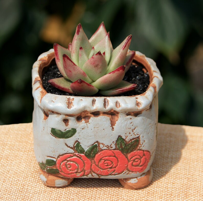 Small Plant PotsCeramic Plant PotsSucculent PotCeramic Planter PotSucculent PlanterPlant PotsPottery PotClay PotP34