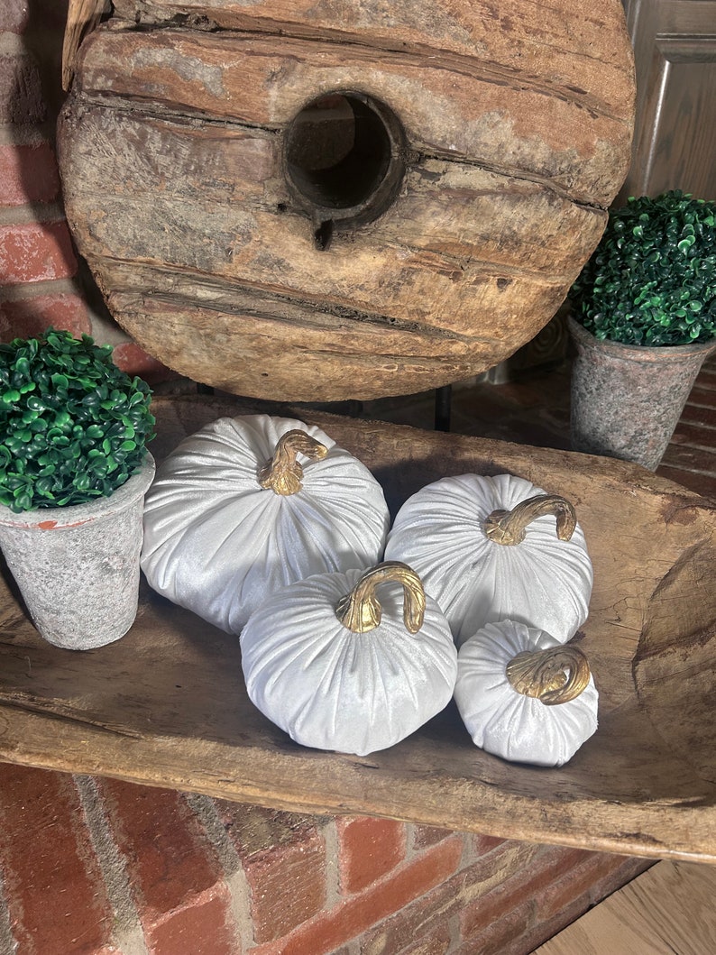 Velvet Pumpkins “white” - Etsy