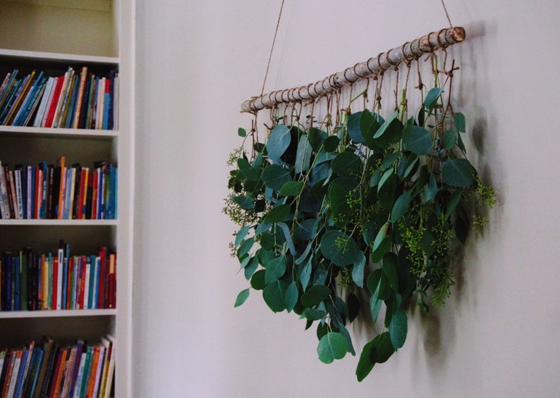 Fresh Real Eucalyptus Eucalyptus Wall Hanging Boho