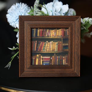 Hand Painted Bookshelf Mini Wall Art - Framed Original Painting