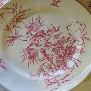 Longchamps Earthenware Plates France XIX Iron Earth Congo Aras Line / Tableware Set of 2 flat plates
