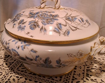 Soupière Faience Porcelain Cie Franco-Anglaise France 1920 / Tableware Vintage decoration / background White blue-gray décor with butterfly