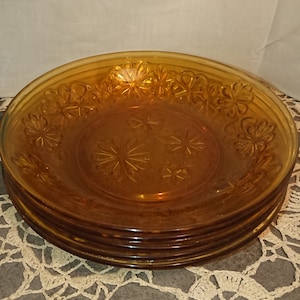 VERECO Amber Glass Plates 50&#39;S / Tableware / Vintage Kitchen Decor / Set of 6 Amber Glass Soup Plates with Embossed Flowers