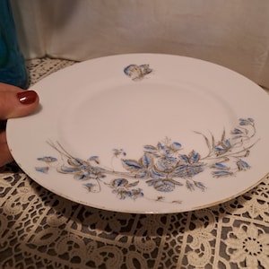 Dish Earthenware Porcelain Cie Franco-Anglaise France 1920 / Tableware Vintage decoration / round dish with white background and blue-grey butterfly decoration