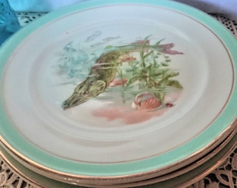 Haviland Fish Plates, White French Earthenware, 1950s / Tableware, Kitchen Decor / Set of 10+1 Dinner Plates with 3 Fish Designs