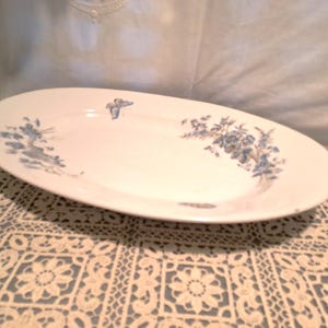 Oval dish Earthenware Porcelain Cie Franco-Anglaise France 1920 / Tableware Vintage decoration / White background blue gray butterfly decoration