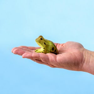 Grenouille verte faite main Figurine en bois Jouet Waldorf respectueux de l'environnement image 1