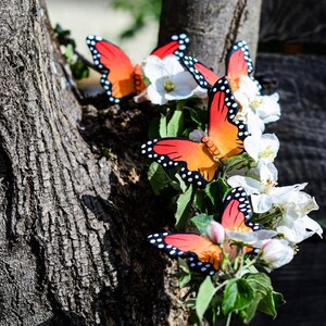 Wooden Butterfly Figure Handmade, Eco-Friendly Waldorf Toy, Artisan zdjęcie 9