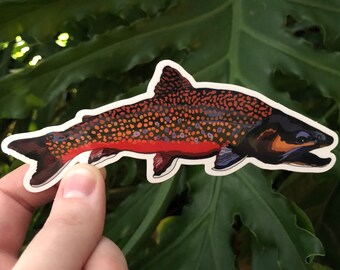Brook Trout Vinyl Sticker | Fish Sticker | Nature Lover Gift | Weatherproof Trout Illustration | Laptop, Water Bottle, Journal Decor