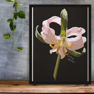 Trillium catesbaei | Botanical Print | Native Flower Print | Appalachian Wildflower | Flower Art | Wall Art | Floral Print | Digital Print