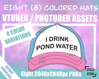 Vtuber Asset Accessory, Hats for Vtubers, Pngtuber Asset Accessory, Twitch Vtubing Clothes funny hat meme