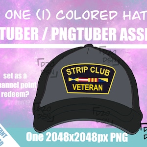 Vtuber Asset Accessory, Hats for Vtubers, Pngtuber Asset Accessory, Twitch Vtubing Clothes funny hat meme