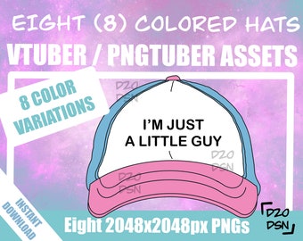 Vtuber Asset Accessory, Hats for Vtubers, Pngtuber Asset Accessory, Twitch Vtubing Clothes funny hat meme