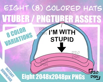 Vtuber Asset Accessory, Hats for Vtubers, Pngtuber Asset Accessory, Twitch Vtubing Clothes funny hat meme
