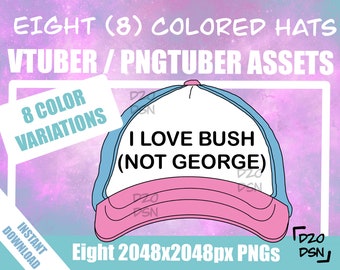 Vtuber Asset Accessory, Hats for Vtubers, Pngtuber Asset Accessory, Twitch Vtubing Clothes funny hat meme