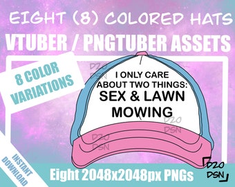 Vtuber Asset Accessory, Hats for Vtubers, Pngtuber Asset Accessory, Twitch Vtubing Clothes funny hat meme