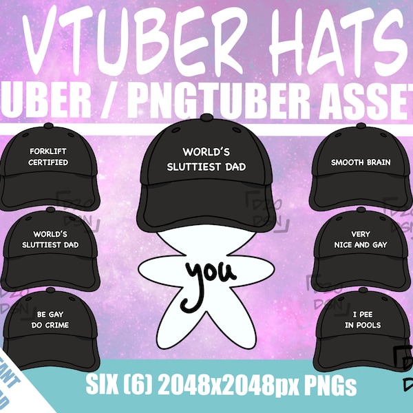 Vtuber Asset Accessory, Hats for Vtubers, Pngtuber Asset Accessory, Twitch Vtubing Clothes funny hat meme