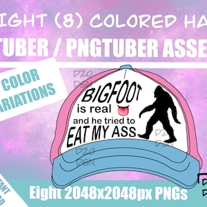 Vtuber Asset Accessory, Hats for Vtubers, Pngtuber Asset Accessory, Twitch Vtubing Clothes funny hat meme