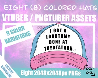 Accessorio per asset Vtuber, Cappelli per Vtuber, Accessorio per asset Pngtuber, Twitch Vtubing Abbigliamento cappello divertente meme