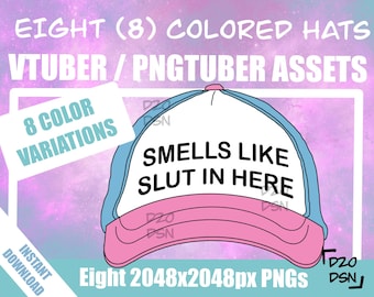 Vtuber Asset Accessory, Hats for Vtubers, Pngtuber Asset Accessory, Twitch Vtubing Clothes funny hat meme