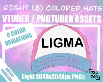 Vtuber Asset Accessory, Hats for Vtubers, Pngtuber Asset Accessory, Twitch Vtubing Clothes funny hat meme