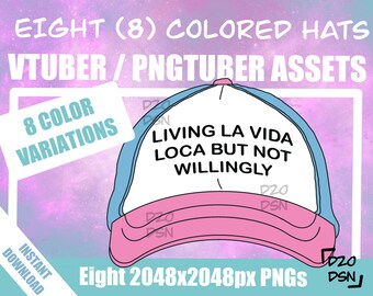 Vtuber Asset Accessory, Hats for Vtubers, Pngtuber Asset Accessory, Twitch Vtubing Clothes funny hat meme