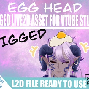 Vtuber asset Rigged Model Asset, for 2D Vtuber on Vtube Studio, Accessory assets for vtuber Model, twitch point redeems, L2D egg head