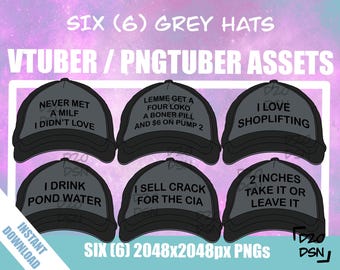 Vtuber Asset Accessory, Hats for Vtubers, Pngtuber Asset Accessory, Twitch Vtubing Clothes funny hat meme