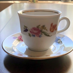 Henneberg Porzellan 1777 Flower Patterned Tea Cup and Saucer