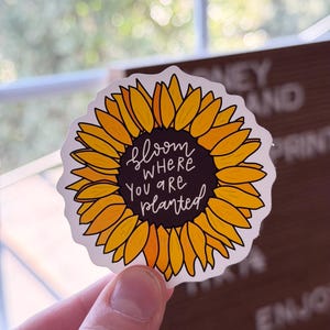 Bloom Where You Are Planted Sticker - Sunflower Sticker - Christian Sticker - Bible Journaling Stickers
