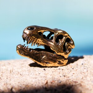 May include: A gold-colored dinosaur skull figurine. The skull is detailed with teeth and bone structure.