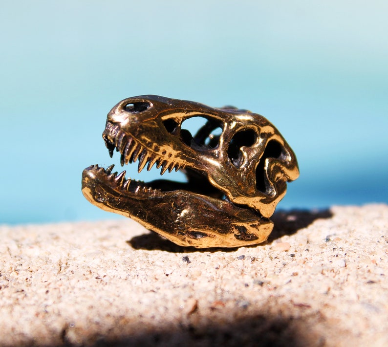 May include: A gold-colored dinosaur skull figurine. The skull is detailed with teeth and bone structure.