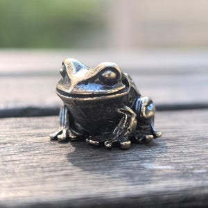 Pode incluir: Pequena e detalhada estatueta de r&atilde; em bronze. A r&atilde; est&aacute; sentada com as patas dianteiras ligeiramente levantadas. O bronze tem uma p&aacute;tina escura e envelhecida com destaques nas &aacute;reas em relevo. Objeto decorativo.