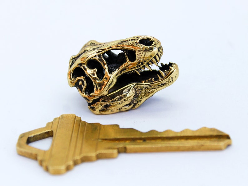 May include: A gold-colored dinosaur skull keychain with a detailed design. The keychain is next to a gold-colored key.