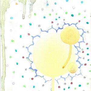Sprinkles.