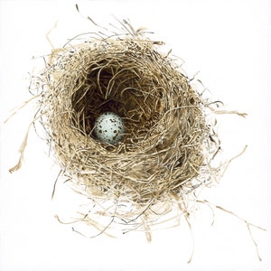 Nest Laifin print