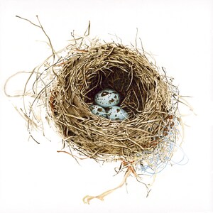 Nest Kirrick print