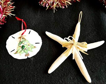 May include: Two Christmas ornaments on a black surface. One is a white sand dollar with a painted Christmas tree design and a red ribbon. The other is a white starfish with a gold bow and a gold string for hanging.