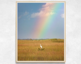 Everglades Egret Rainbow Photo | Florida Bird Art