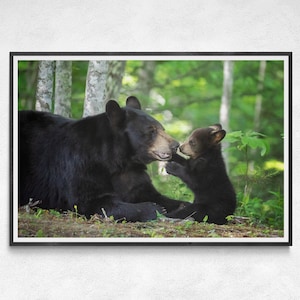 Black Bear Print | Mama Bear and Cub | Black Bear Photo | Wildlife Photography | Great Smoky Mountains National Park | Black Bear Art