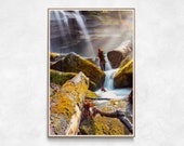 Waterfall Photography Print | Brevard, North Carolina | Nature Inspired Wall Decor | Waterfall Print | Nature Photography
