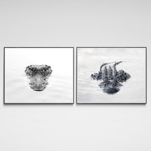 Set of 2 Alligator Photography Prints | Alligator Wall Art | Everglades Wildlife Photography | Alligator Decor | Alligator Prints