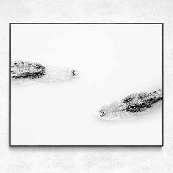 Black And White Alligator Print | Everglades Wildlife Photography | Alligator Picture | Florida Wall Art | Alligator Art